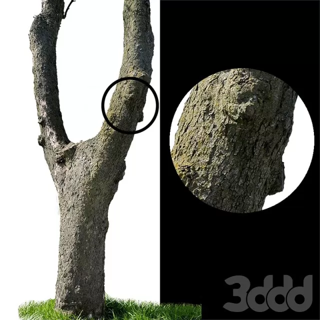 PRO MODELS – 3DSKY DOWNLOAD – 1363 PRO MODELS – 3DSKY DOWNLOAD – 1363