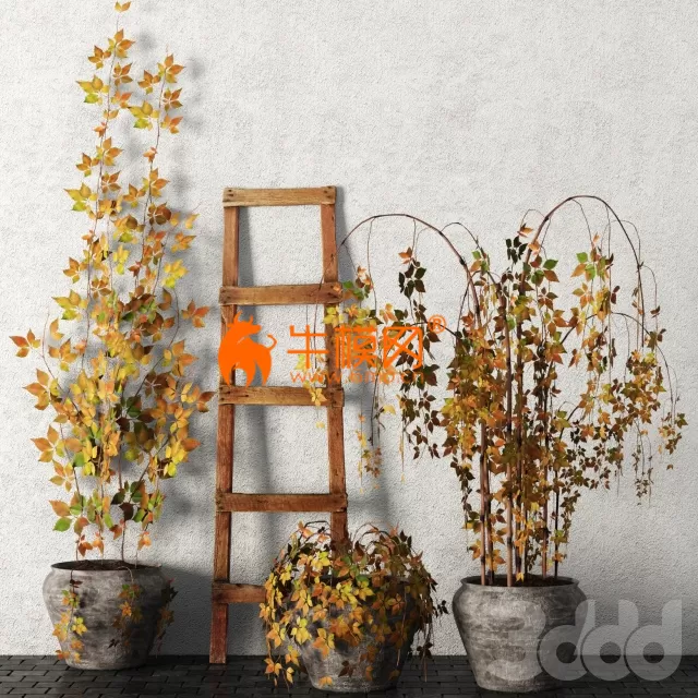 PRO MODELS – 3DSKY DOWNLOAD – 1530