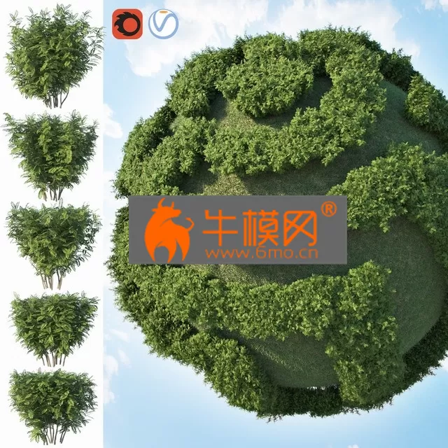 PRO MODELS – Acacia (Set of 2 Bushes)