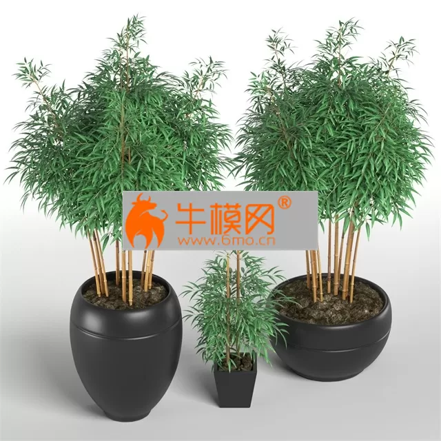 PRO MODELS – Bambus for Blender