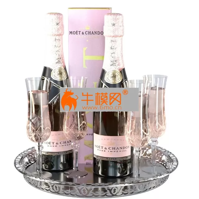 PRO MODELS – Champagne