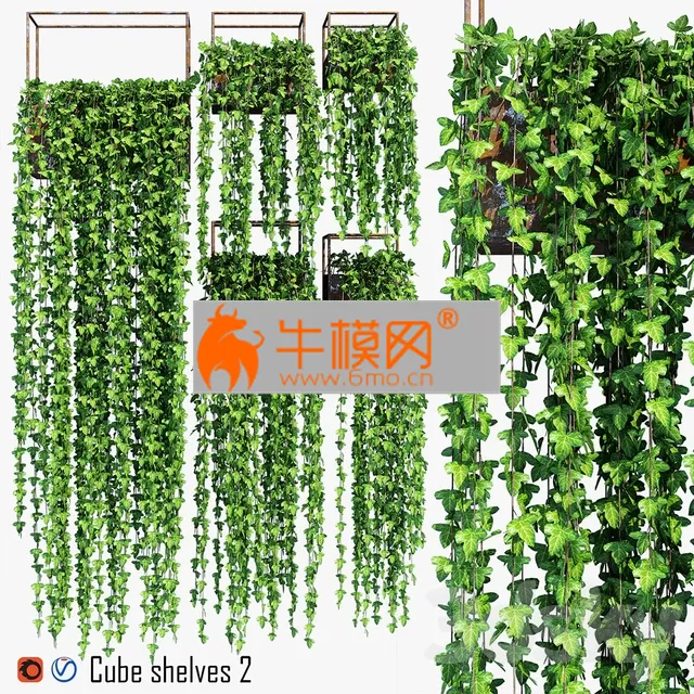 PRO MODELS – Cube shelves 2