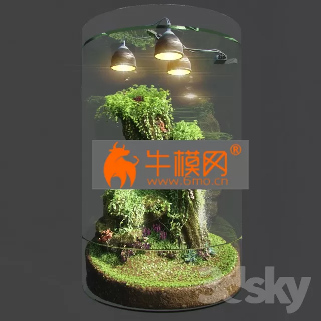 PRO MODELS – Dwarf Florarium