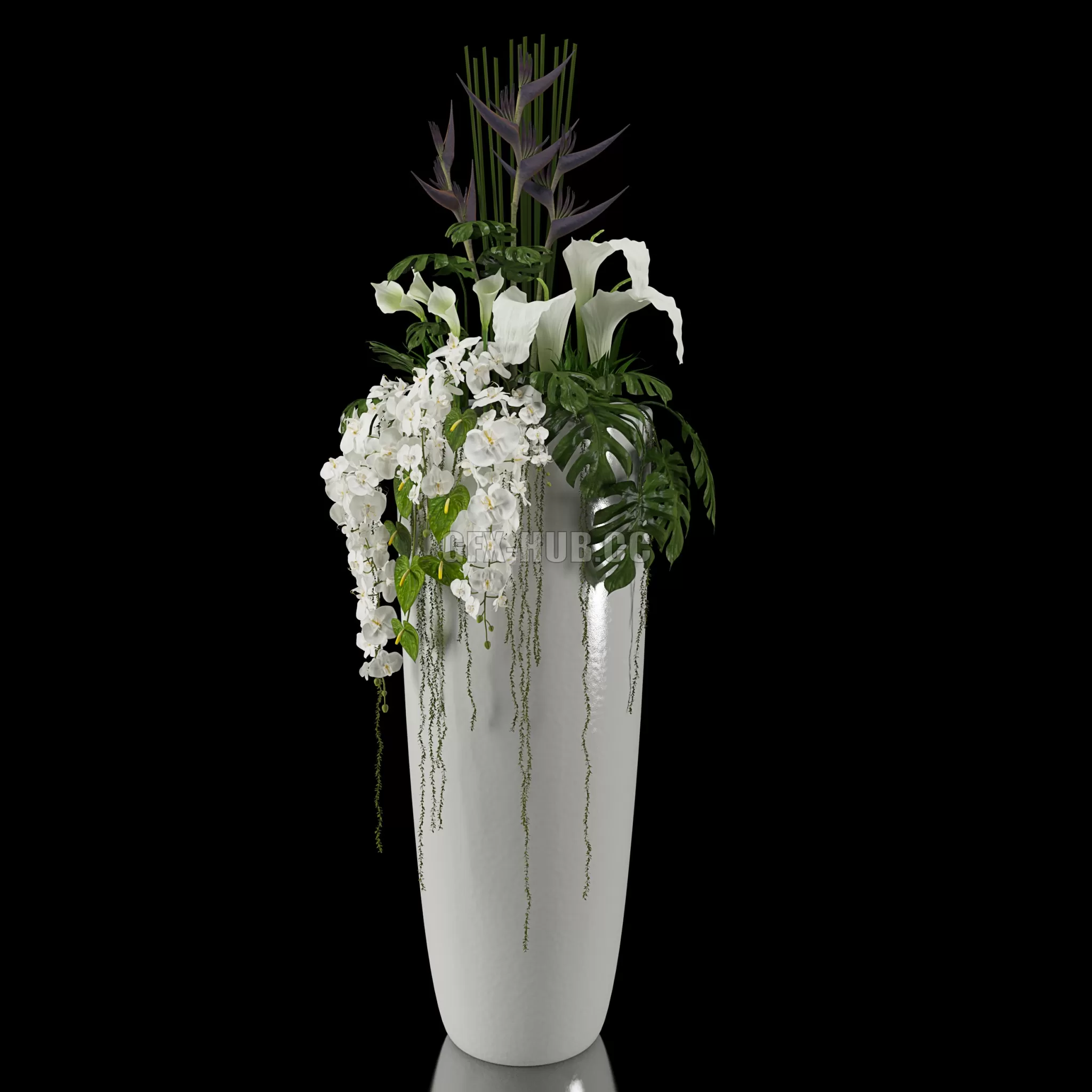 PRO MODELS – EXOTIC arrangement