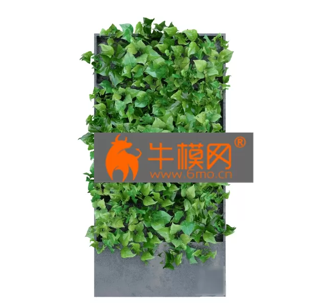 PRO MODELS – Fitopanel