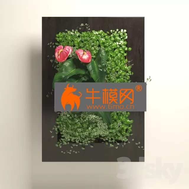 PRO MODELS – Fitowall_4