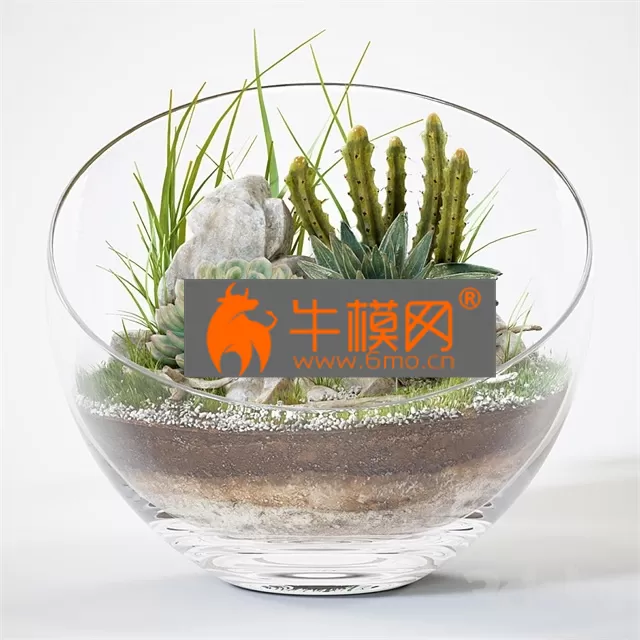 PRO MODELS – Florarium 15