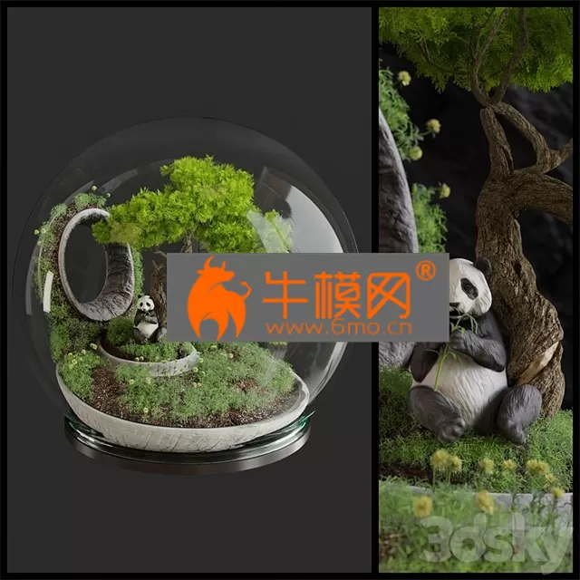 PRO MODELS – Florarium Bonsai