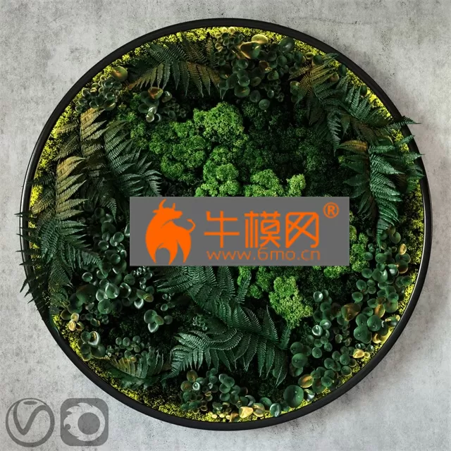 PRO MODELS – Fytodisk moss