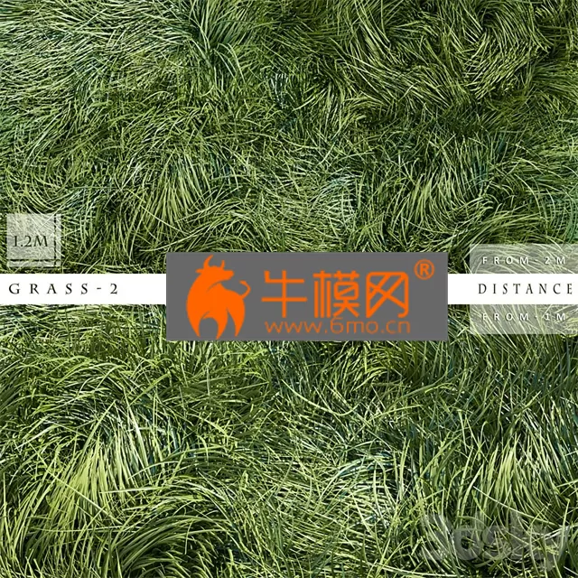 PRO MODELS – GRASS 2