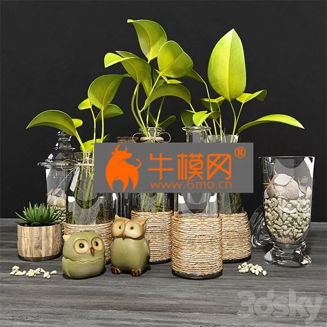 PRO MODELS – Green set