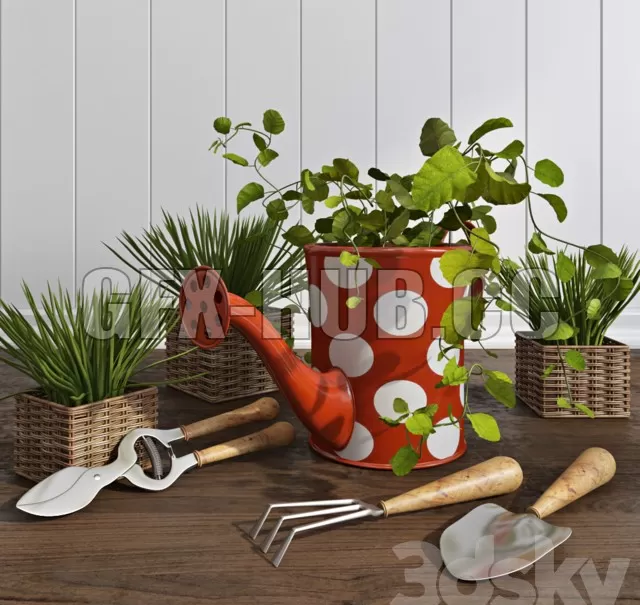 PRO MODELS – Green set 02