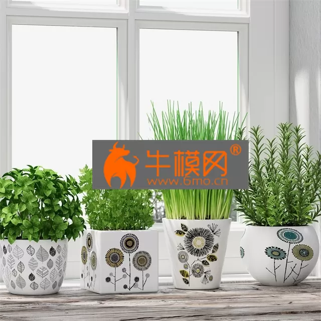 PRO MODELS – Herbs in pots