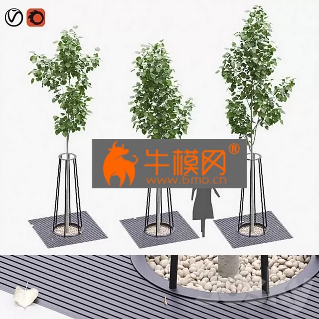 PRO MODELS – Landscaping kit with American linden 3.9 – 4.5m