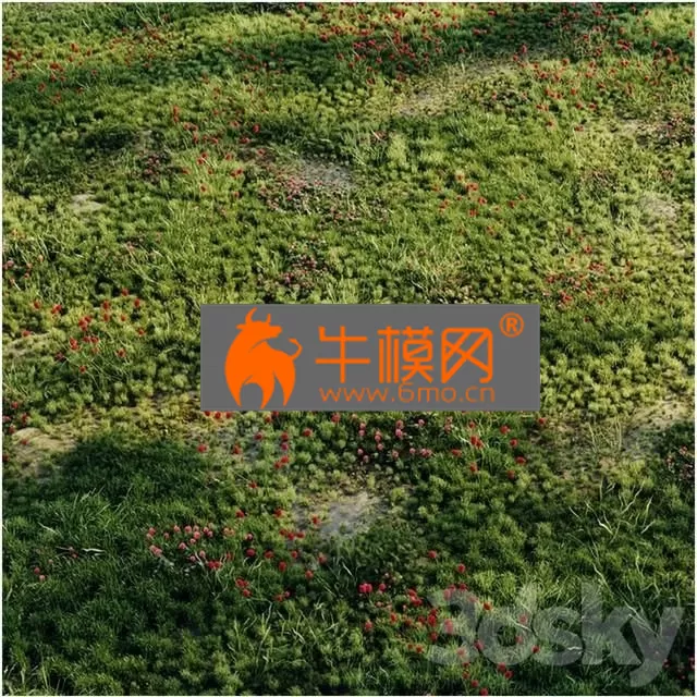 PRO MODELS – Meadow Grass 2