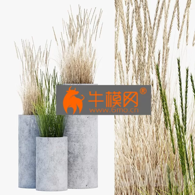 PRO MODELS – Mone four