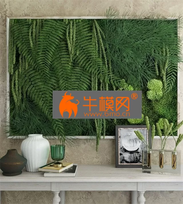 PRO MODELS – moss fern fytowall