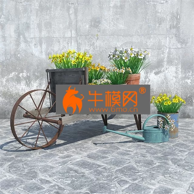 PRO MODELS – Narcissus – Set 1