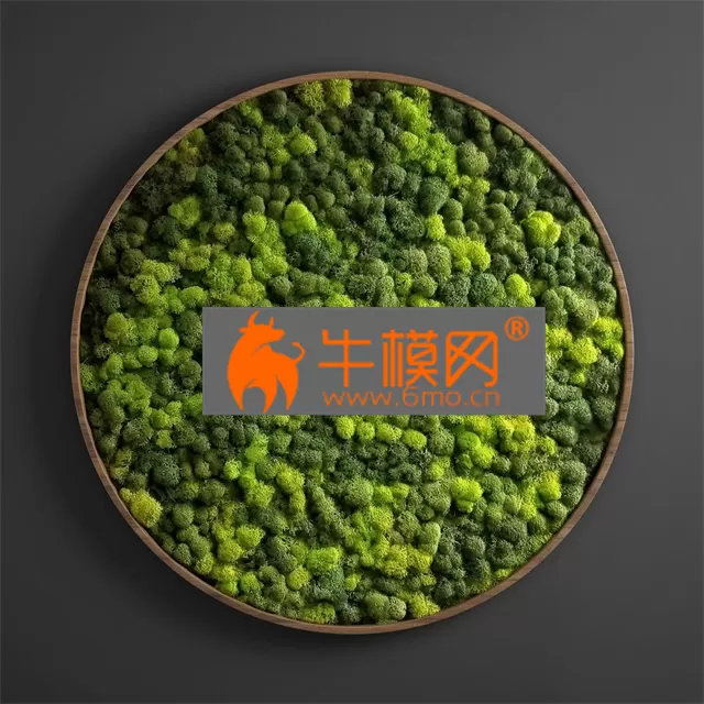 PRO MODELS – Panel moss circle