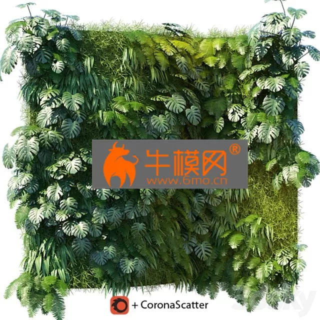 PRO MODELS – Phytowall 1