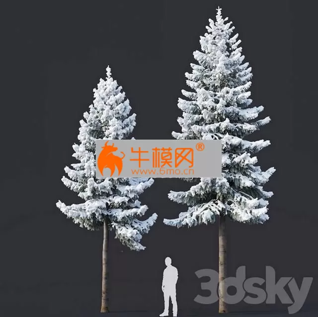 PRO MODELS – Spruce 6 Two sizes H8-10m. Modular branches