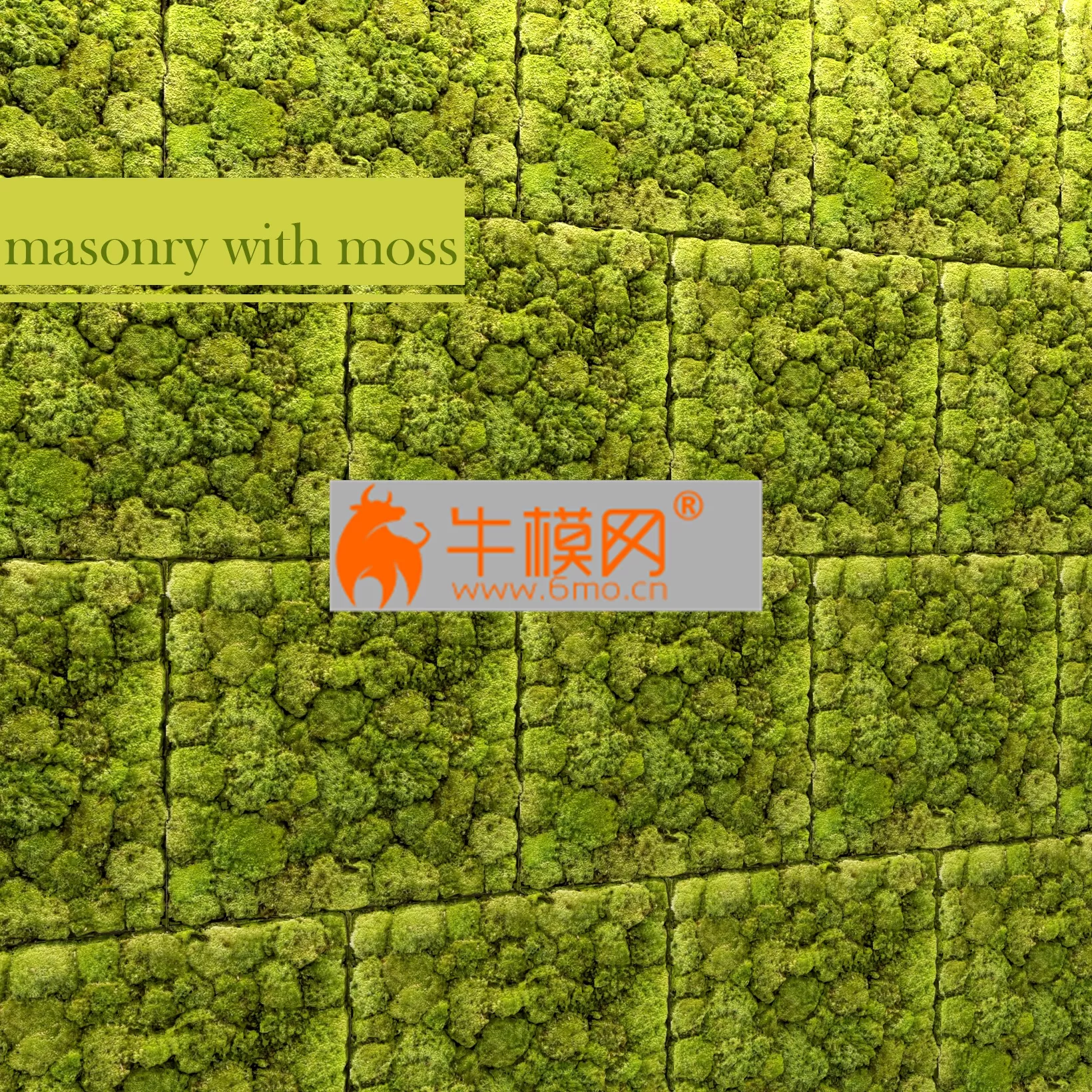 PRO MODELS – Stone and Moss PRO MODELS – Stone and Moss