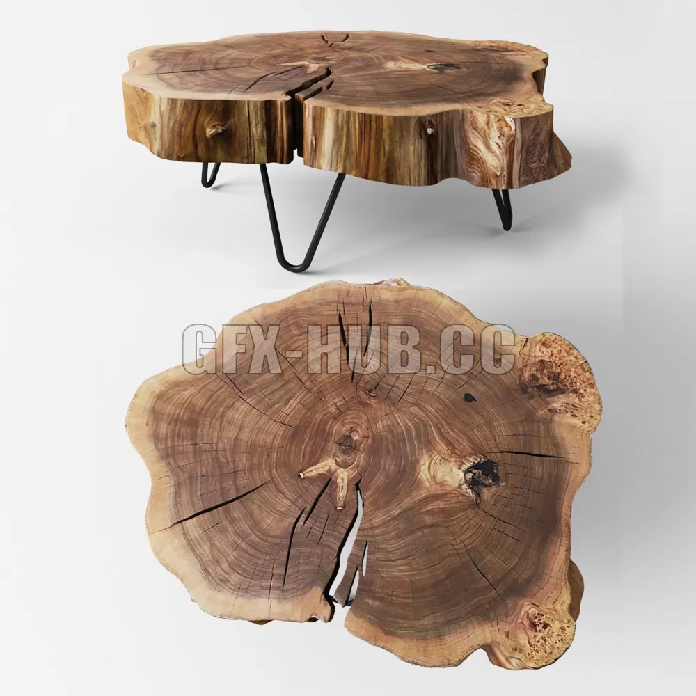 TABLE – Coffee table of elm cut