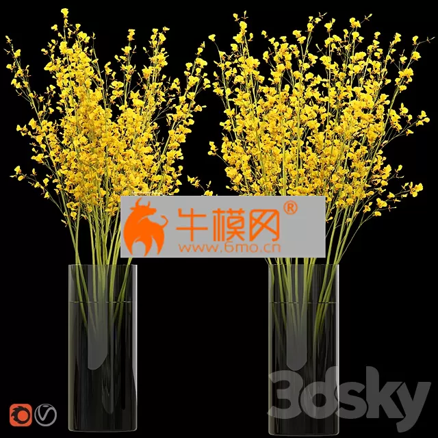 VASE – Big bouquet. Orchid oncidium in a vase