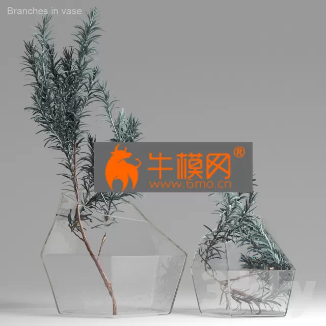 VASE – Branches in Vase