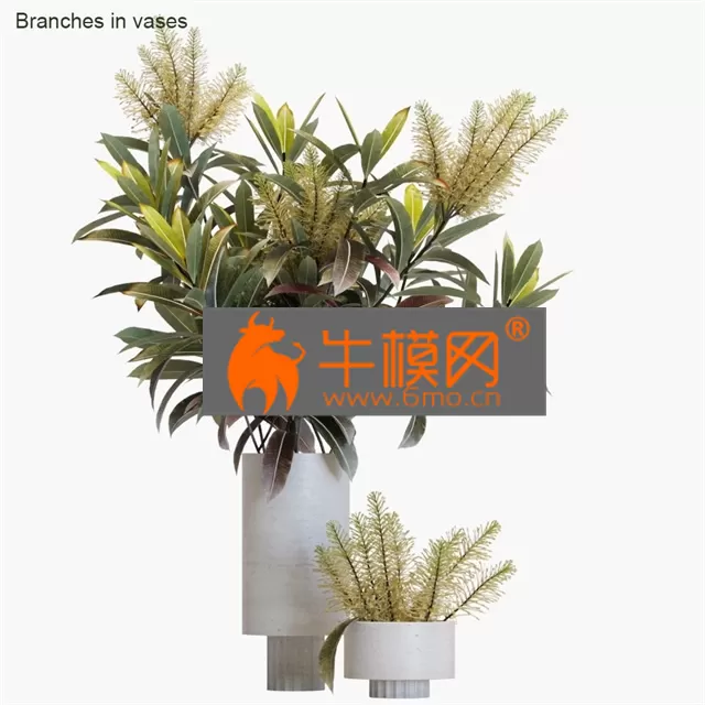 VASE – Branches in Vases 12