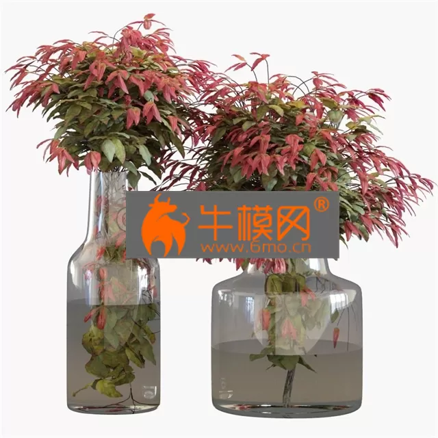 VASE – Branches in vases 26 Dwarf sacred bamboo
