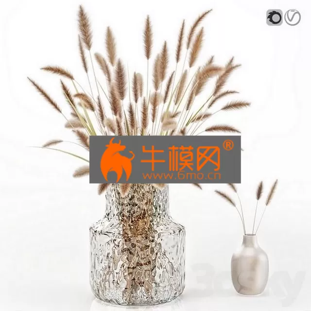 VASE – Dry flowers in glass vase 2