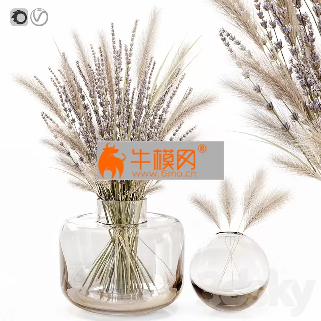 VASE – Dry flowers in glass vase with lavender