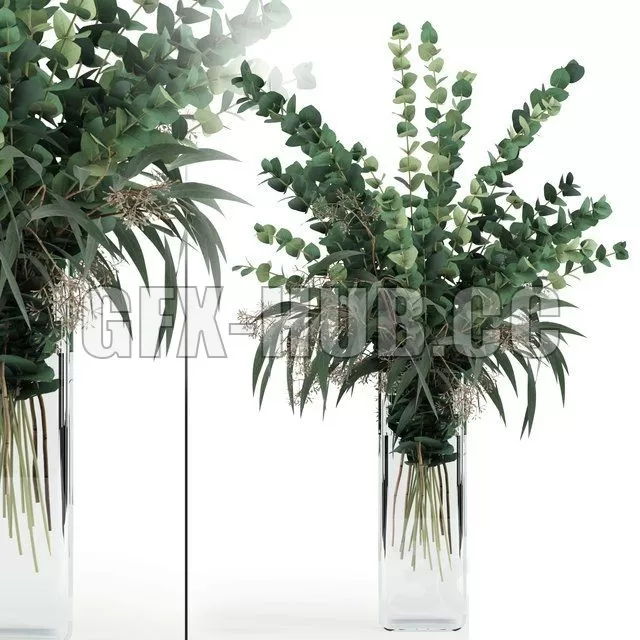 VASE – Eucalyptus in tall vase