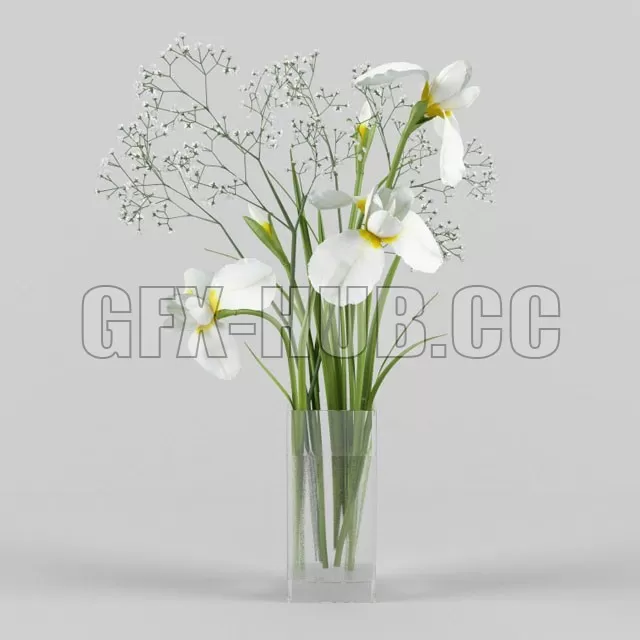 VASE – Irises and gypsophila in a vase