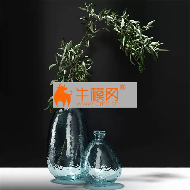 VASE – Olive branches in a vase