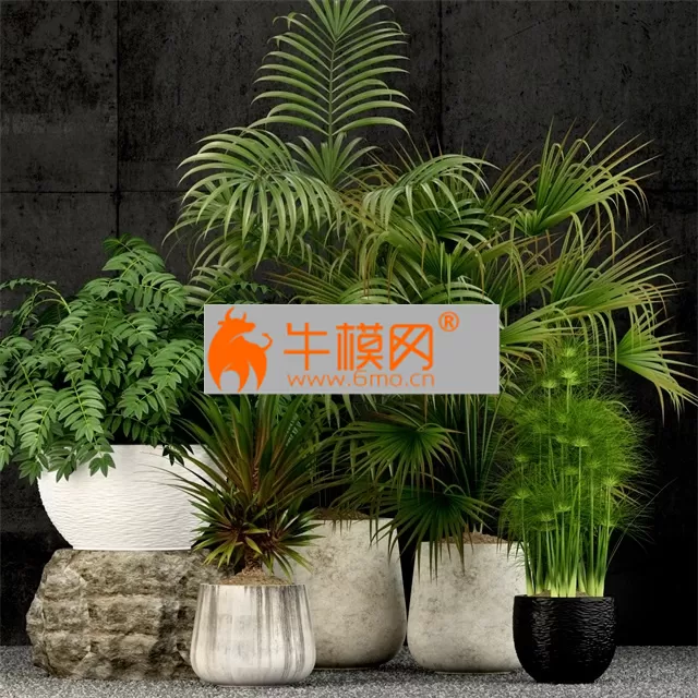 3DSKYMODELS – 151 3DSKYMODELS – 151