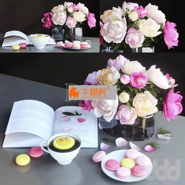 3DSKYMODELS – 609 3DSKYMODELS – 609