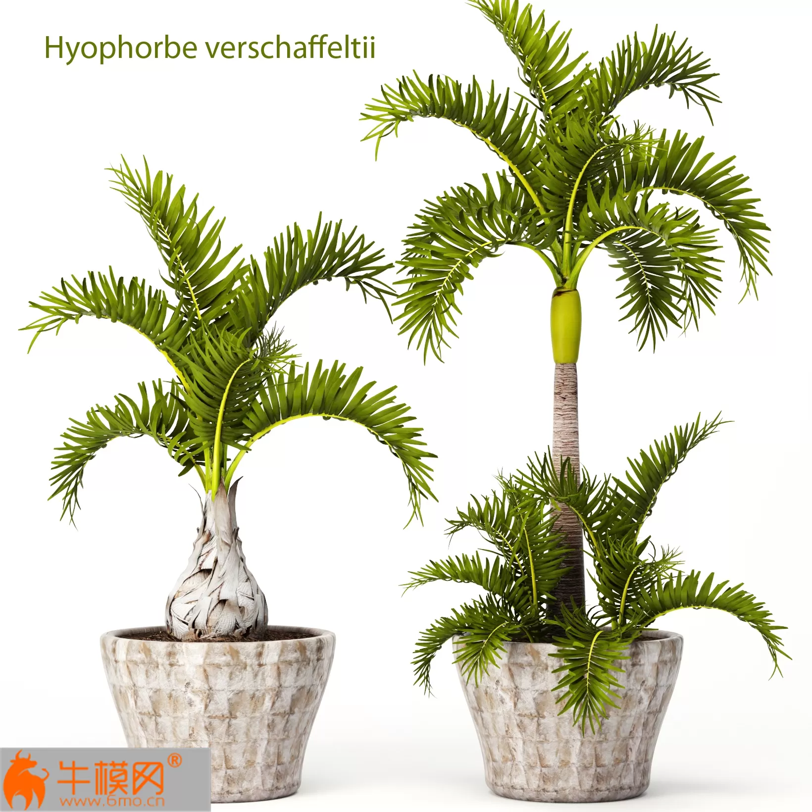 3DSKYMODELS – 613 3DSKYMODELS – 613