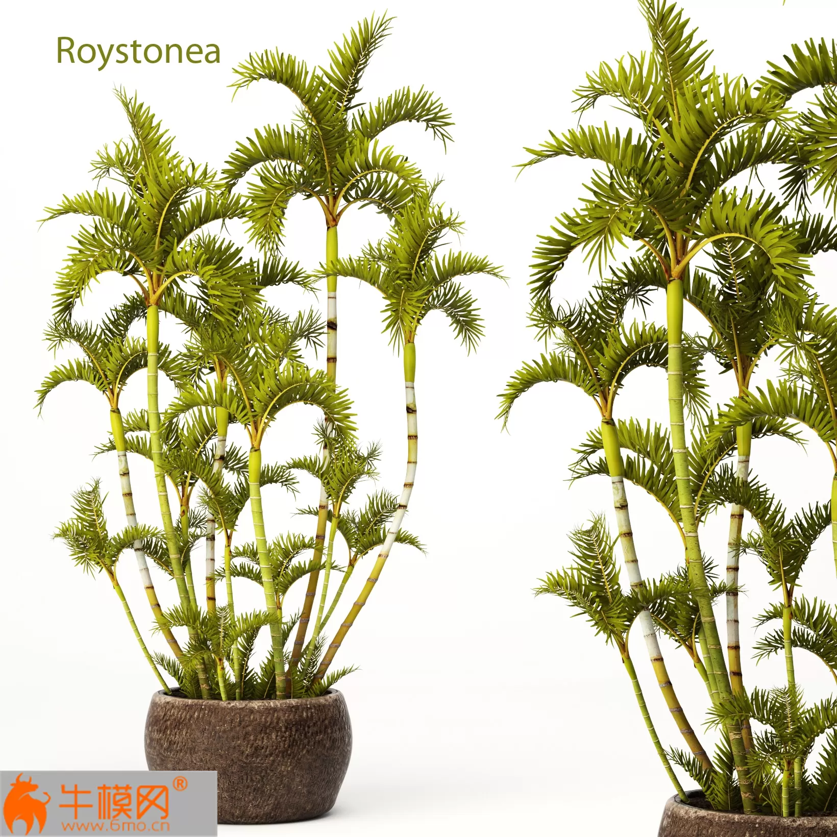 3DSKYMODELS – 619 3DSKYMODELS – 619