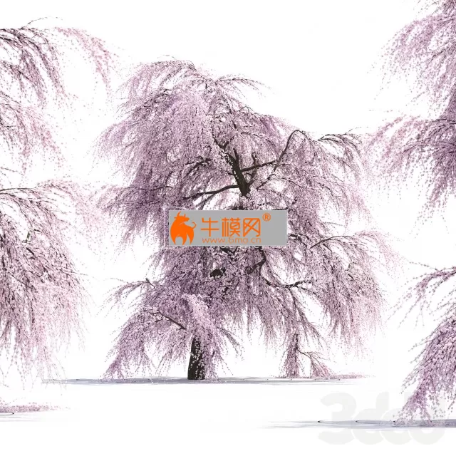 3DSKYMODELS – 641 3DSKYMODELS – 641