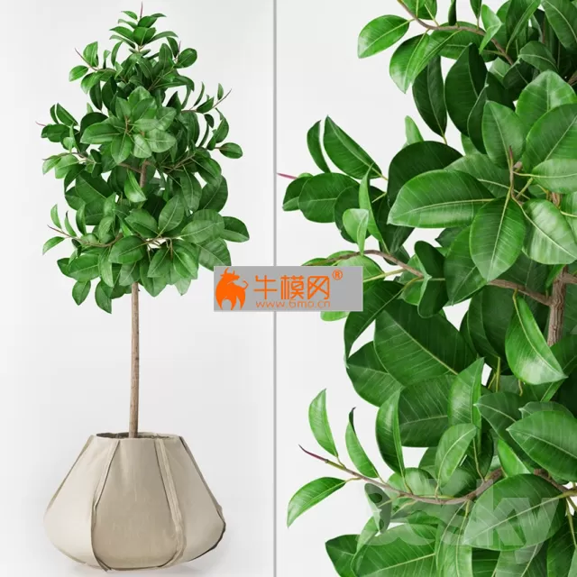 3DSKYMODELS – 809 3DSKYMODELS – 809