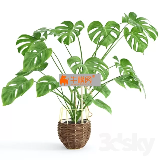 3DSKYMODELS – 810 3DSKYMODELS – 810