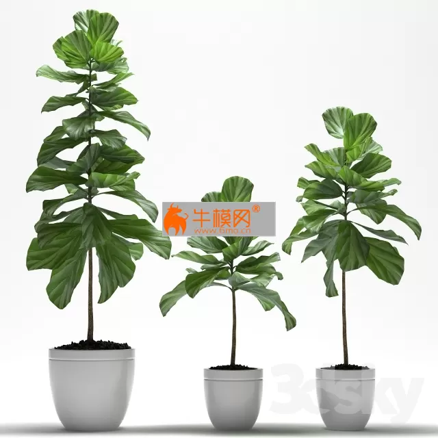 3DSKYMODELS – 812 3DSKYMODELS – 812