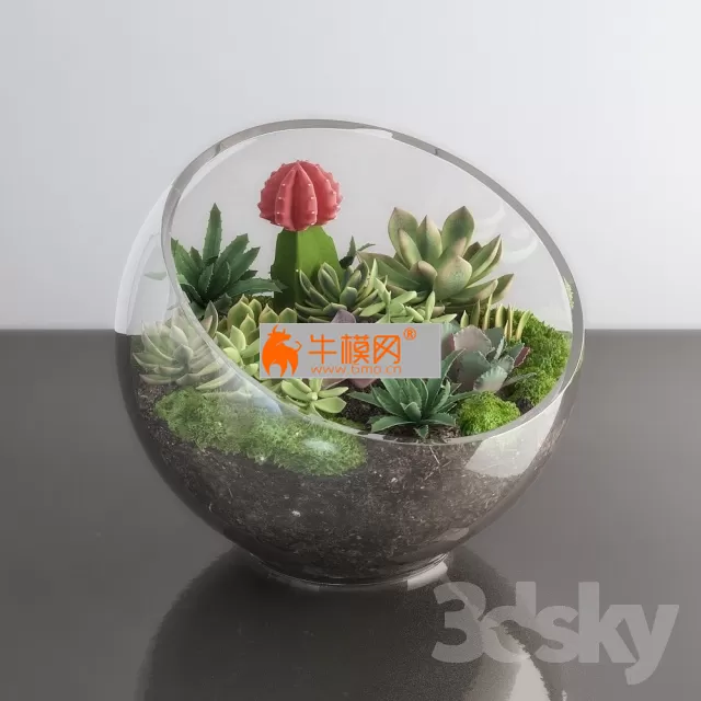 3DSKYMODELS – 818 3DSKYMODELS – 818