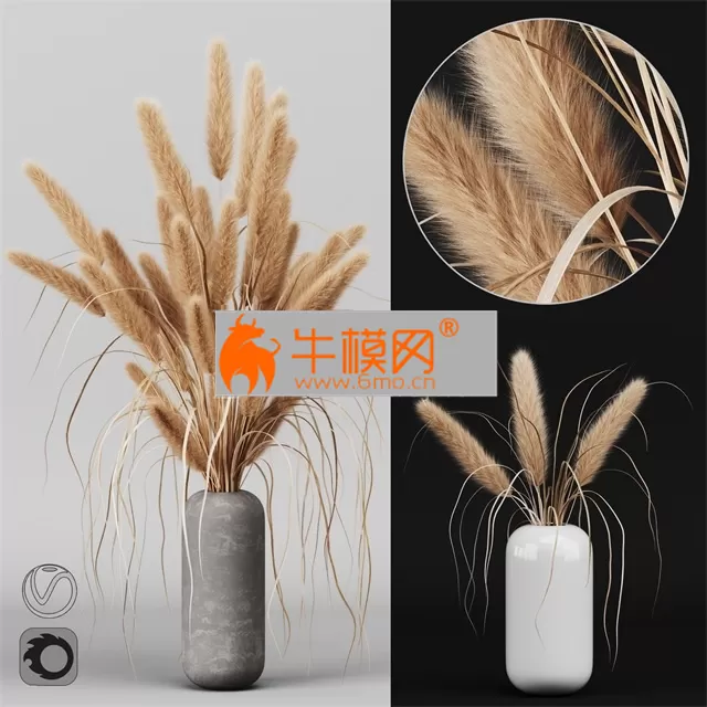 A bunch of Pampas 2 – 871 A bunch of Pampas 2 – 871