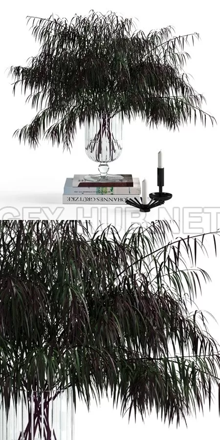 Agonis and candles model – 908 Agonis and candles model – 908