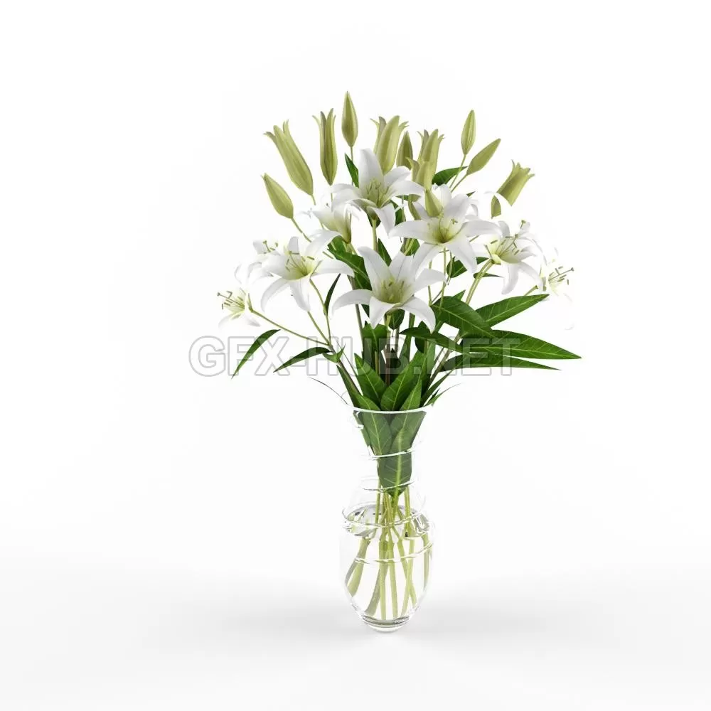 Amb_lily – 936 Amb_lily – 936