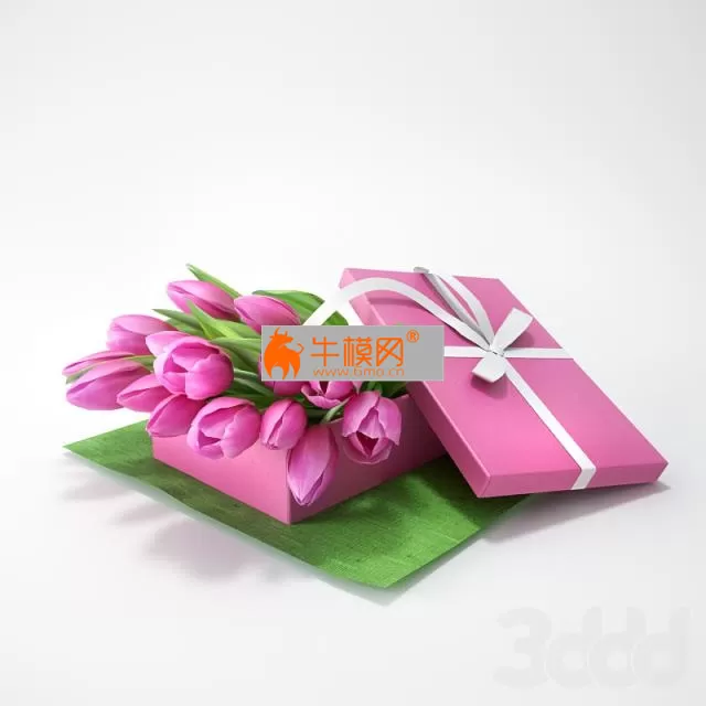 Amb_tulips in a gift box – 973 Amb_tulips in a gift box – 973