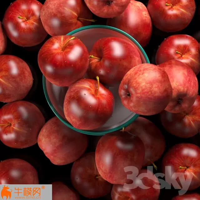 APPLE – 1004 APPLE – 1004